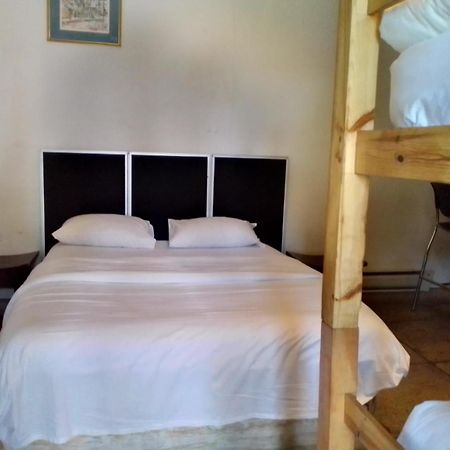 Da Arden Guest House جوهانسبورغ المظهر الخارجي الصورة